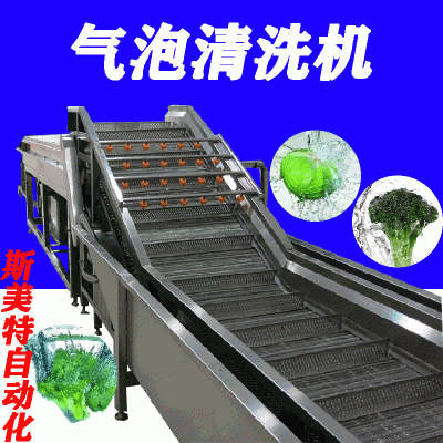 高压气泡清洗机大型果蔬清洗机蘑菇清洗机竹笙清洗机多功能气泡清洗机