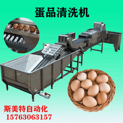 智能洗蛋机零破损高清洁 鸡蛋鸭蛋清洗加工设备 清洗风干流水线
