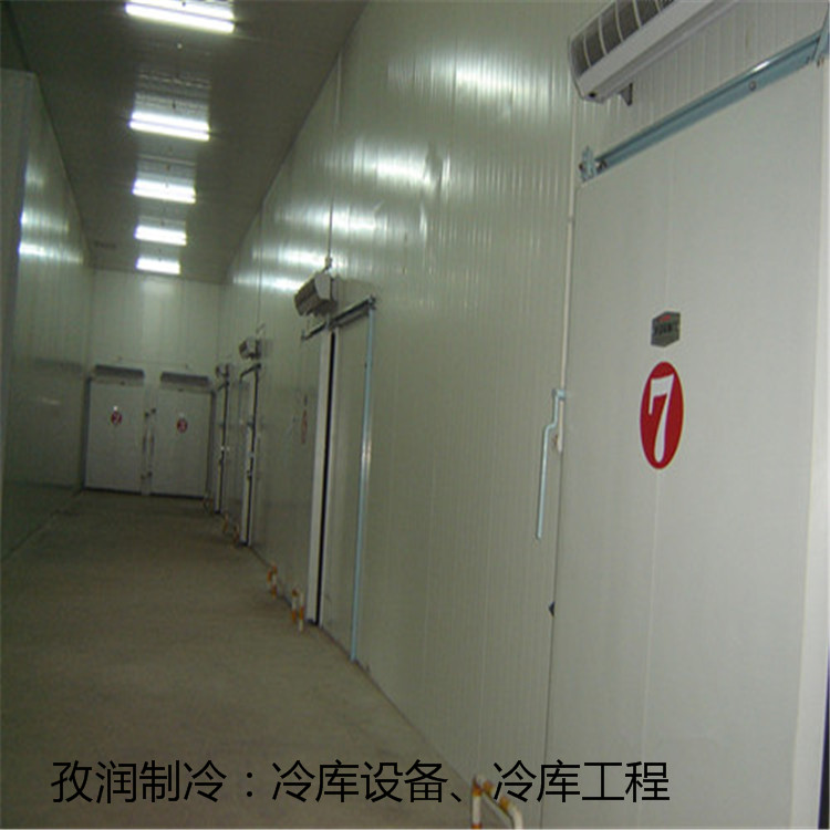 安阳低温冷库-急冻冷库-冰库-订做冷库
