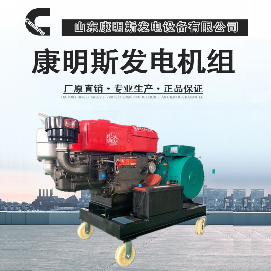 单缸发电机组厂家 20KW纯铜柴油机单缸发电机组价格