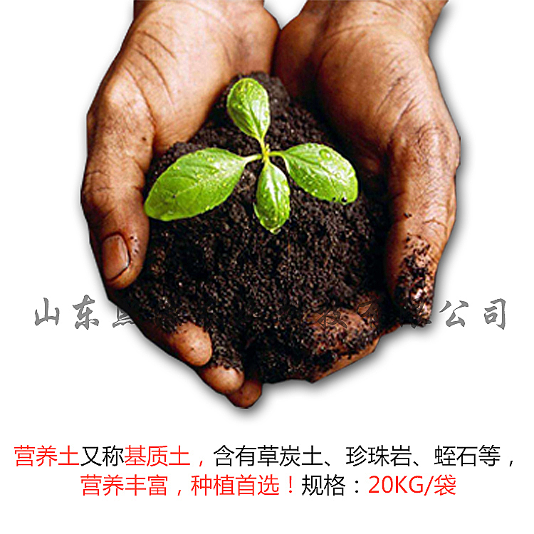 营养土供应 基质土厂家批发 无土栽培厂家基质土 蛭石有机土批发