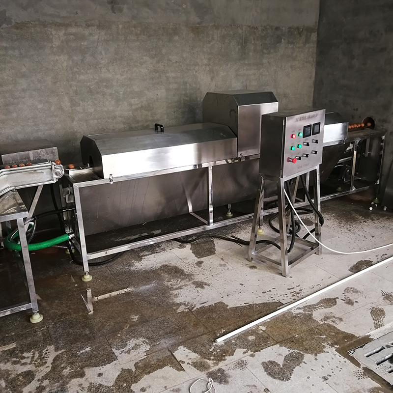 鸡蛋清洗机 鸭蛋清洗机 蛋品清洗加工设备 清洗 风干 喷码流水线
