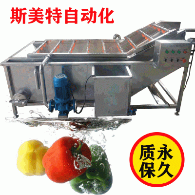 气泡清洗机 菠菜气泡高压喷淋清洗机 水果清洗机