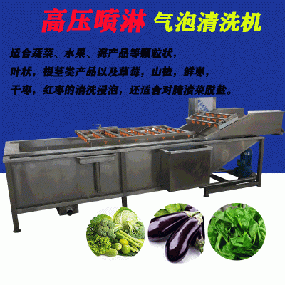 厂家直销果蔬气泡清洗机 高压气泡喷淋清洗机 不损伤蔬菜表面