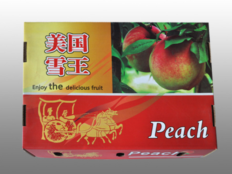飞歌 火龙果礼盒   手提礼品盒  供应