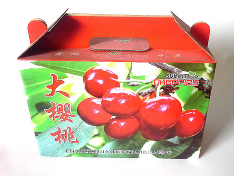 飞歌 水果礼盒  水果礼品包装盒  订制