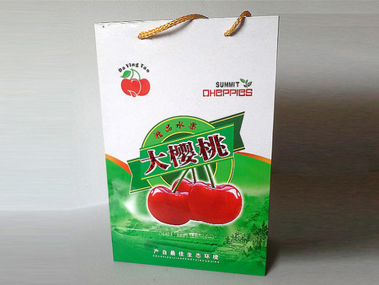 山东 火龙果礼盒   手提礼品盒  批发