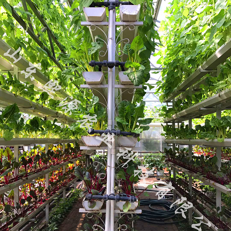 立体种植蔬菜 无土栽培设备厂家供应 基质土营养液批发
