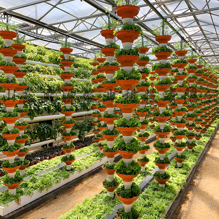 无土栽培塑料立柱 立柱种植蔬菜 基质土种植蔬菜 无土栽培工程建设