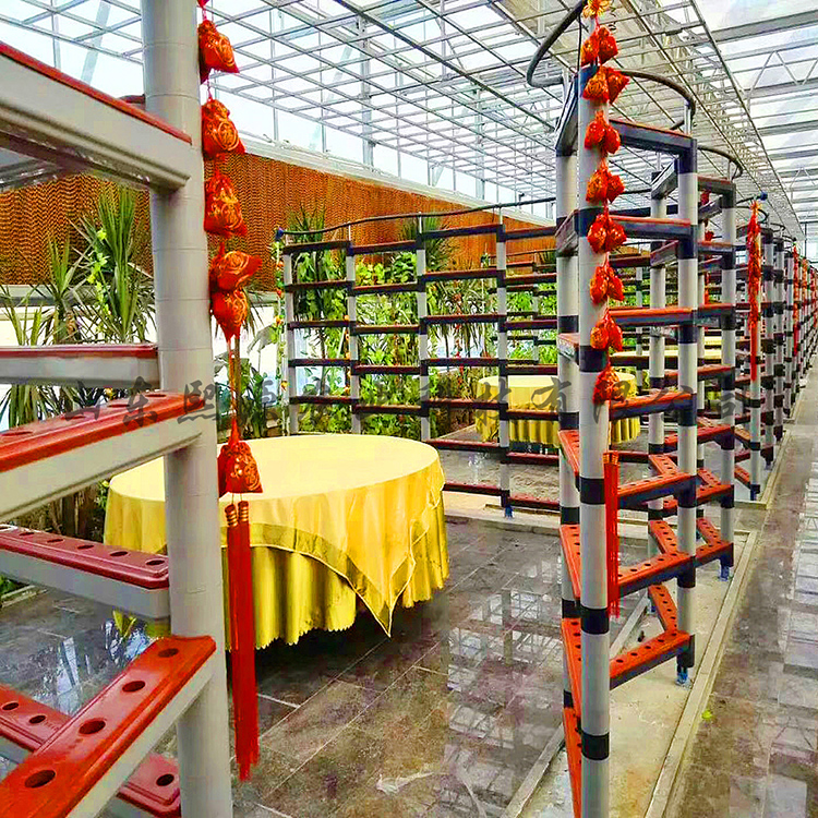 无土栽培漏窗水培设备批发  营养液水培蔬菜种植 无土栽培厂家供应