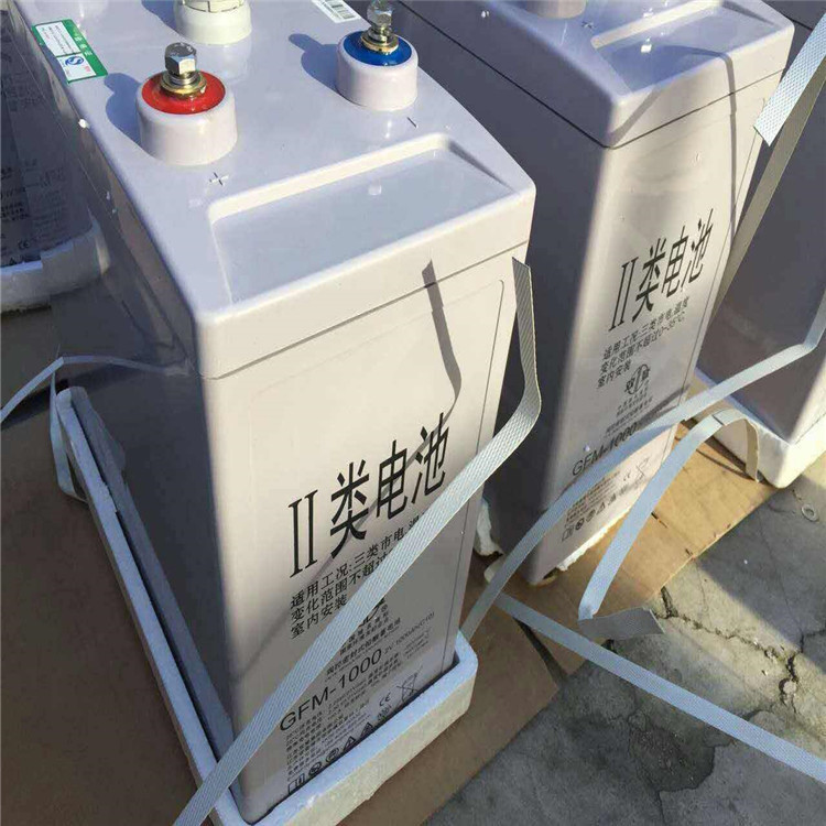 双登蓄电池GFM-300  免维护铅酸蓄电池2V300AH 双登储能阀控式蓄电池