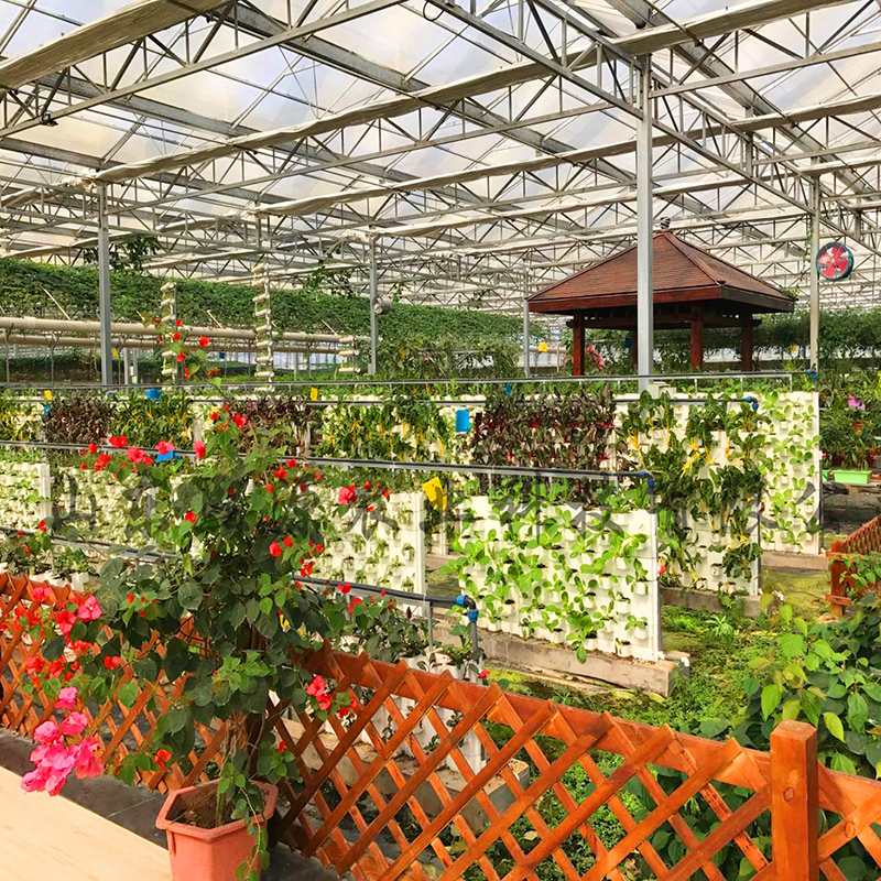 隔断墙体无土栽培 生态墙无土栽培蔬菜种植 山东无土栽培厂家