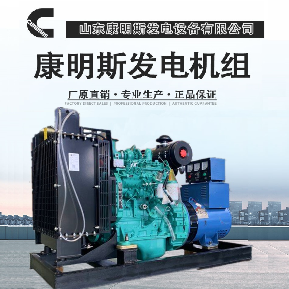 柴油发电机组 康明斯发电机组30kw 厂家现货