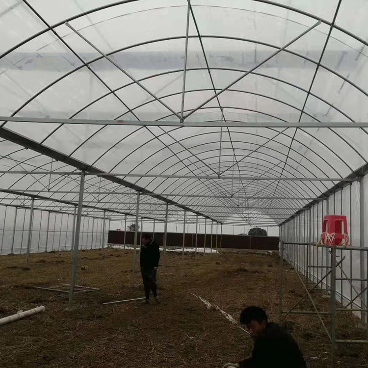 温室大棚_养殖大棚_蔬菜大棚骨架_专业供应