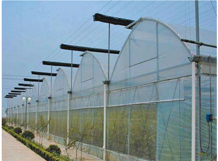 连栋薄膜温室建造 连栋薄膜温室工程 蔬菜种植温室