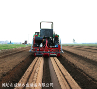 销往潍坊的白萝卜起垄镇压播种机-带播绳