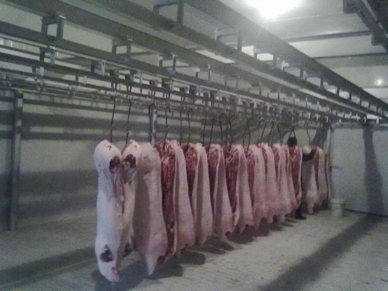 蔬菜保鲜库鲜肉速冻库
