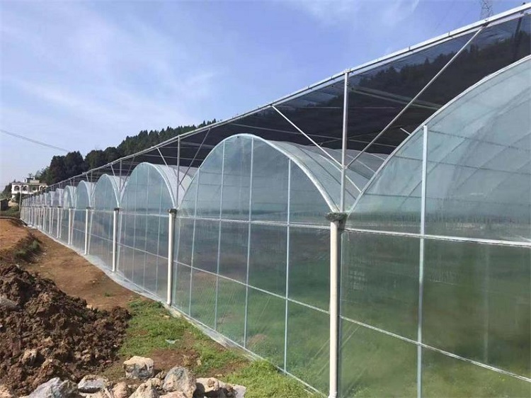 江西薄膜温室大棚  薄膜温室大棚承建商 欢迎致电