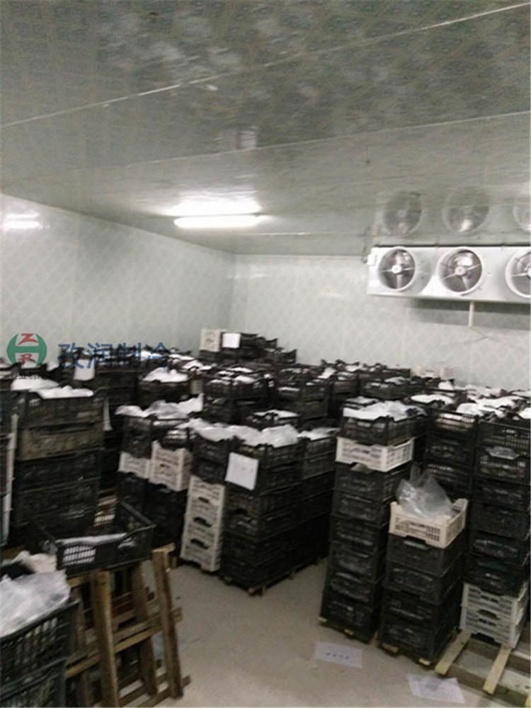 淮北市保鲜冷库造价-品牌冷库安装公司-孜润冷库节能15~30%