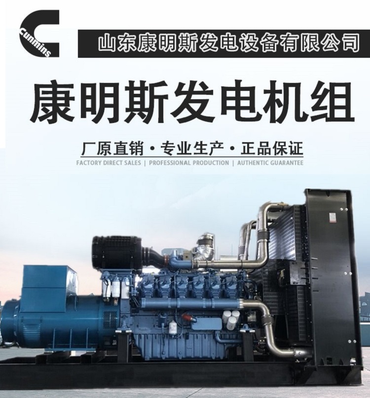 工程备用应急发电机组_潍柴1000千瓦_博杜安系列发电机组
