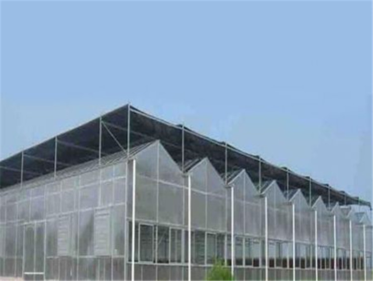 阳光板温室工程 智能pc板温室大棚建造