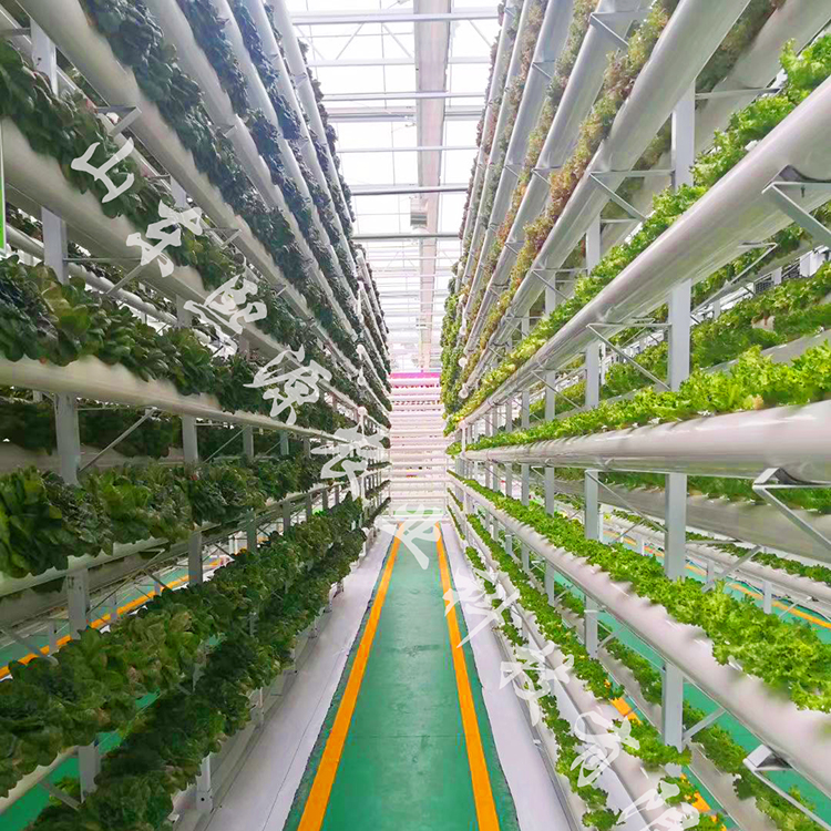 水耕无土栽培厂家 厂家直销立体种植 水培种植蔬菜 水培槽批发
