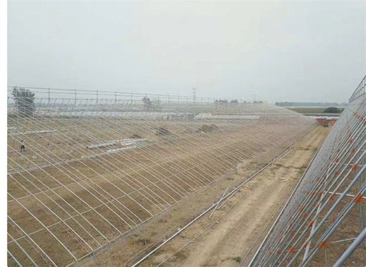 日光温室大棚 单面坡薄膜大棚 有墙体蔬菜种植大棚