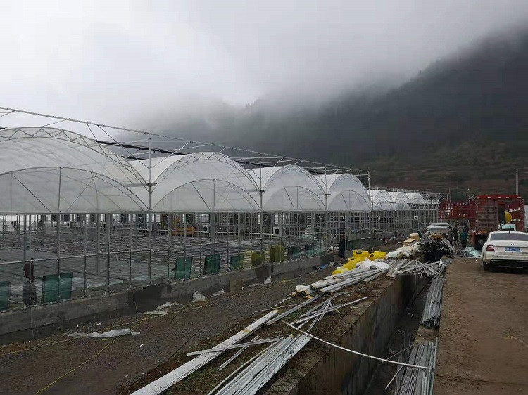 薄膜大棚 连体温室 连体薄膜温室大棚 厂家直供