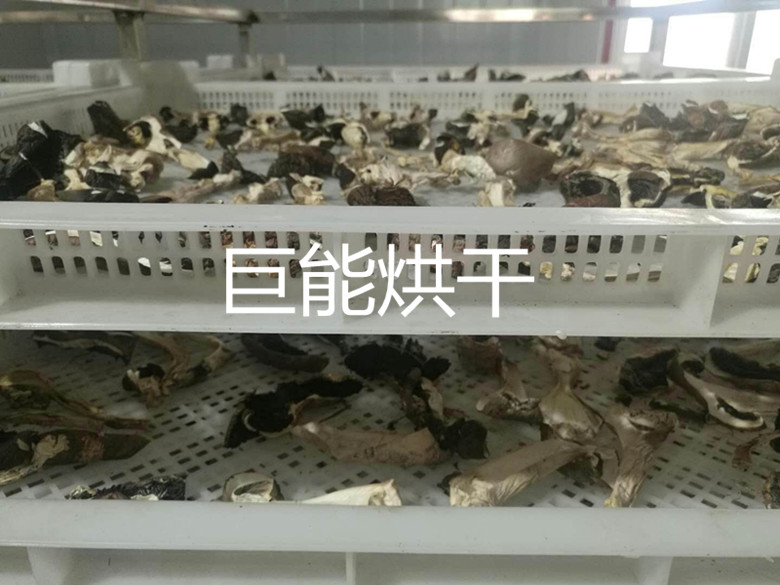 金银花烘干设备-玫瑰花干燥机-农副产品烘干箱