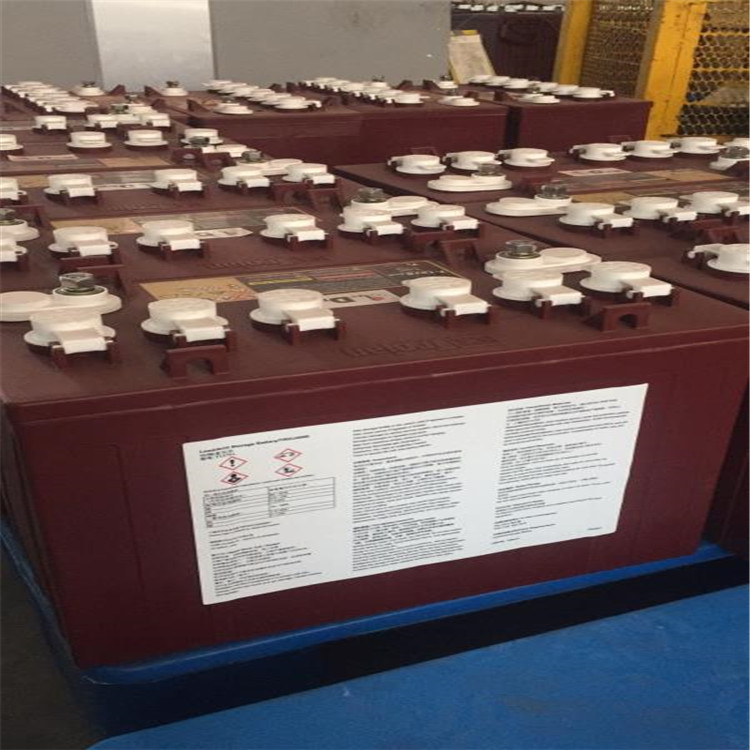美国邱健蓄电池T-105PLUS Trojan邱健蓄电池6V225AH 洗地机专用