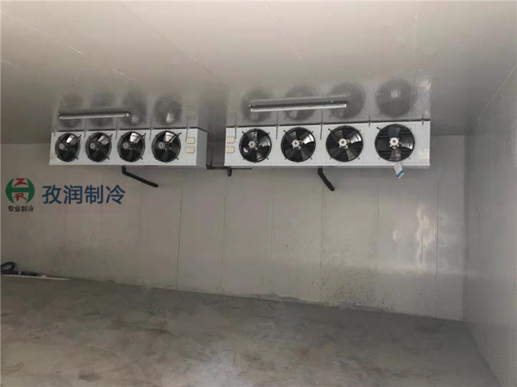 池州石台药品冷藏库-药品阴凉库-药品凉储库-制药厂冷库