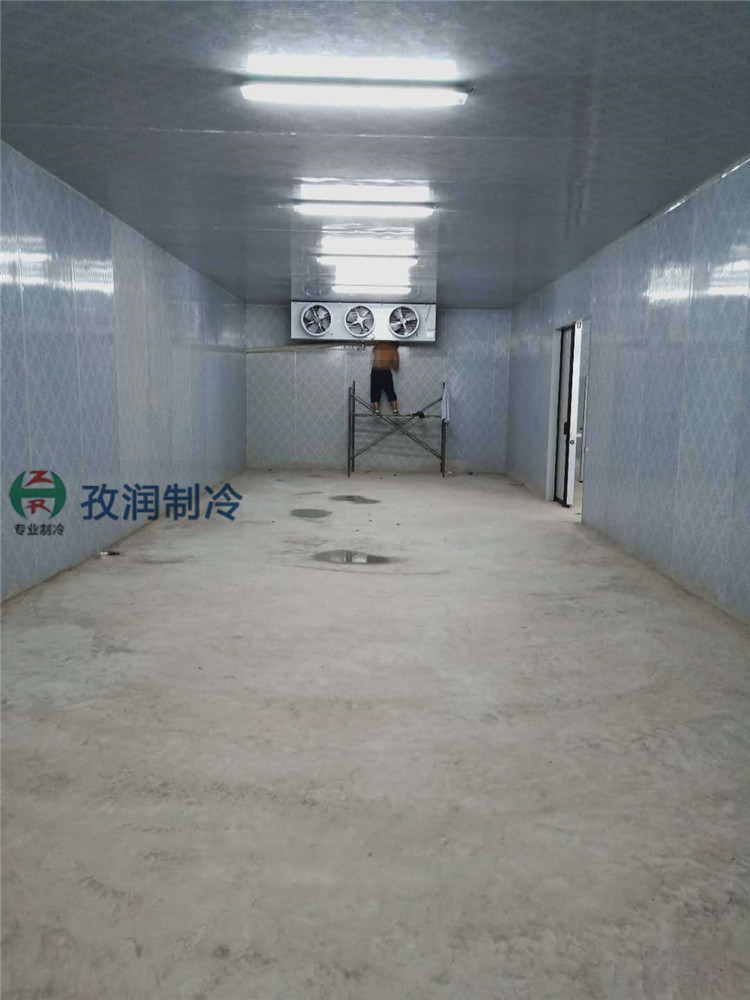 阜阳太和小型冷库-小型保鲜冷库-小冷冷型冷库-小型组合式冷库-知名冷库厂家