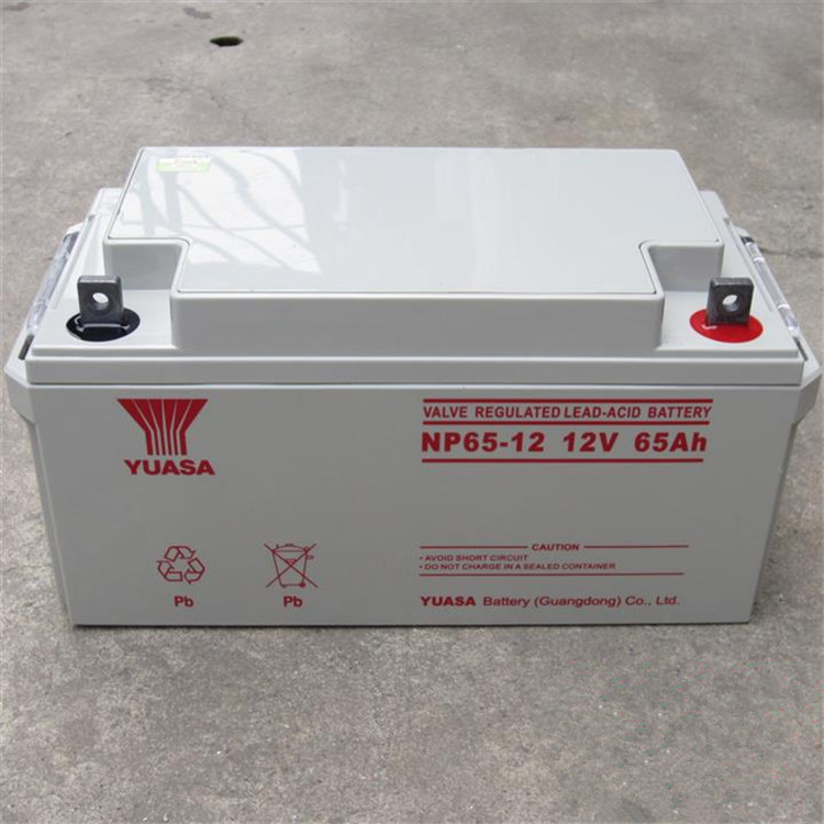 YUASA汤浅蓄电池NP65-12 免维护铅酸蓄电池12V65AH报价