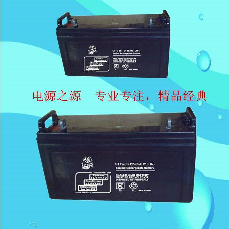 金狮蓄电池ST12-20 铅酸蓄电池12V20AH UPS 应急电源  太阳能 UPS
