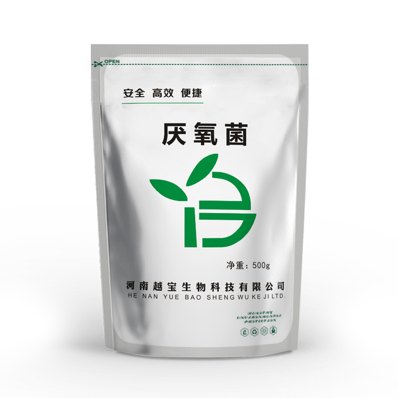 厌氧菌-强化厌氧的效率厌氧水解菌富含适用于废水或固废厌氧处理的高效微生物菌种