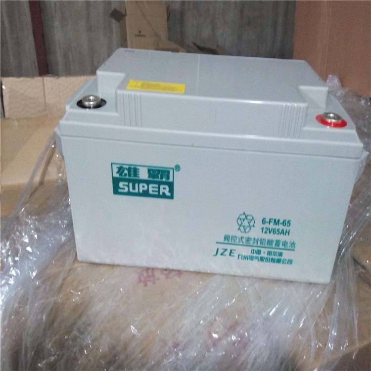 雄霸蓄电池6-FM-38 九洲免维护铅酸蓄电池12V65AH 储能 UPS