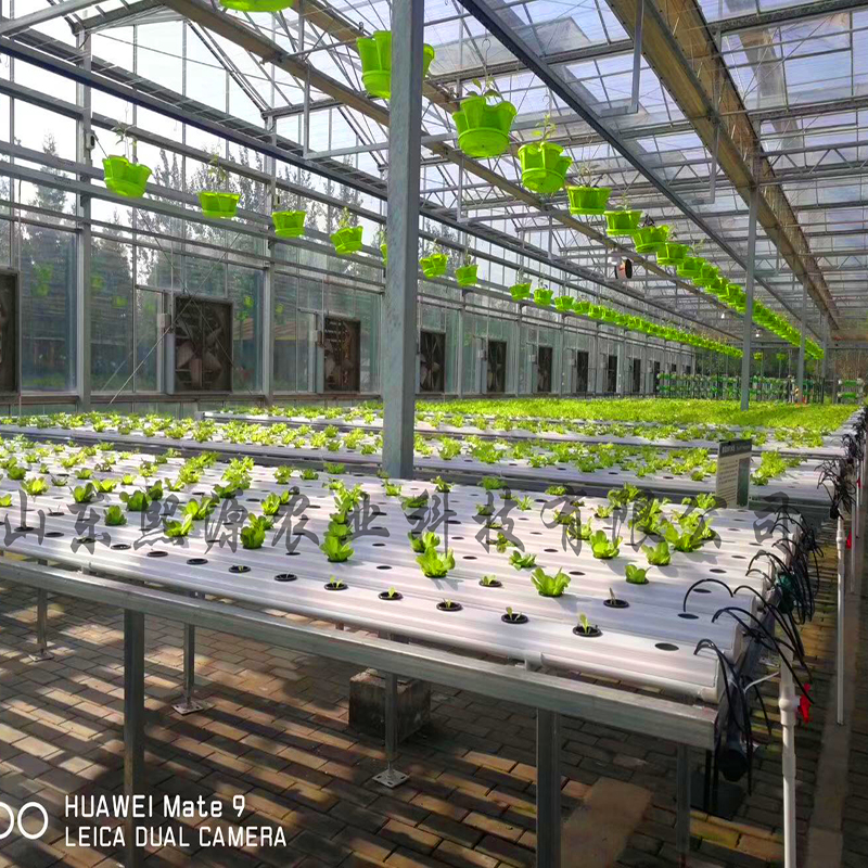 蔬菜无土栽培 无土栽培工程建设 水培蔬菜立体种植 营养液批发