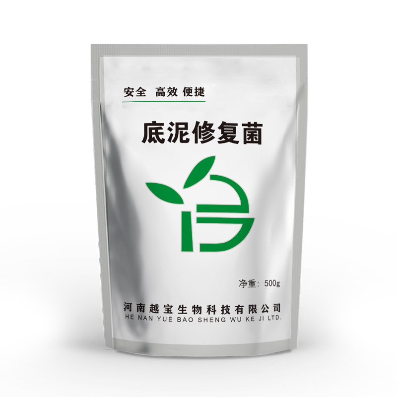 底泥修复菌-快速净化消解底泥