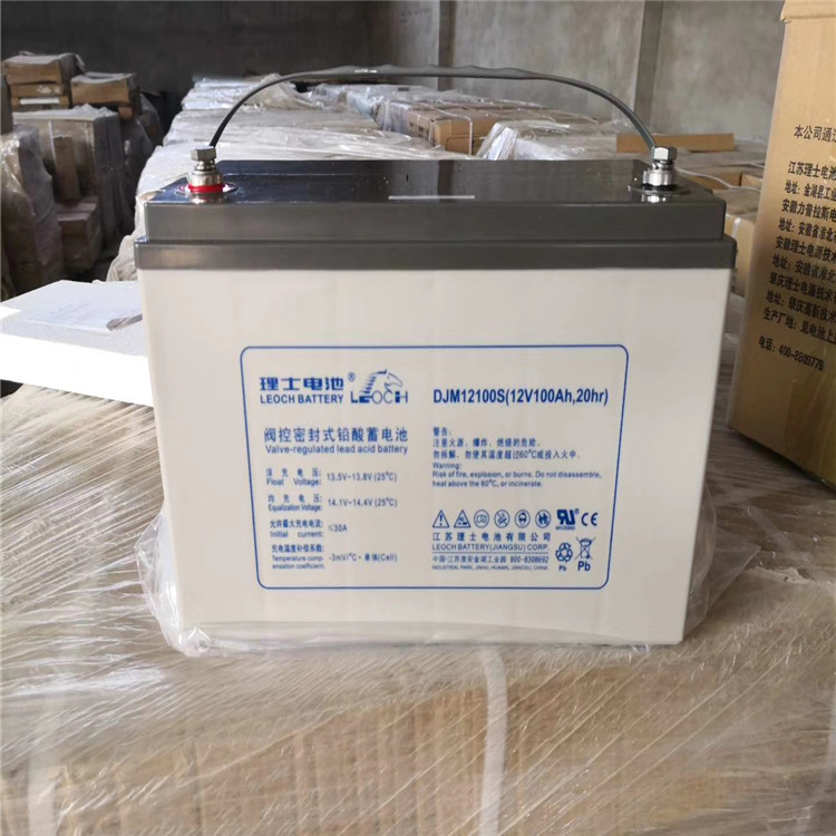 LEOCH理士蓄电池DJM12100S 12V100AH 20HR