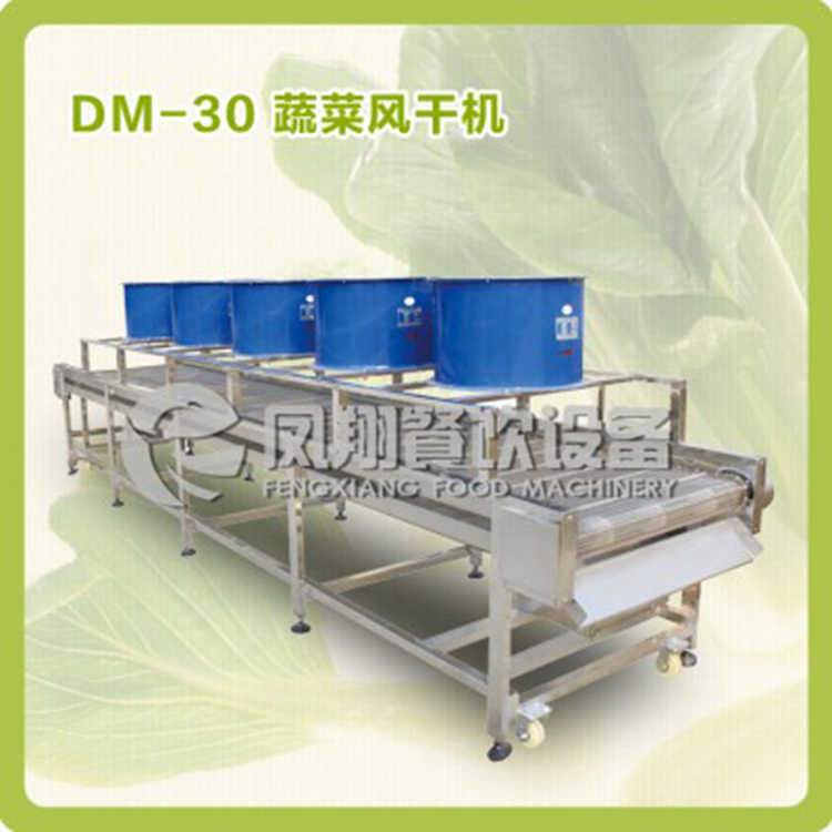 凤翔DM-30 蔬菜风干机 翻滚式烘干设备