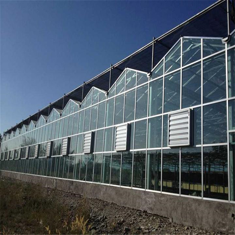农业智能温室 智能温室建造建设 山东智能温室大棚 现代化智能温室
