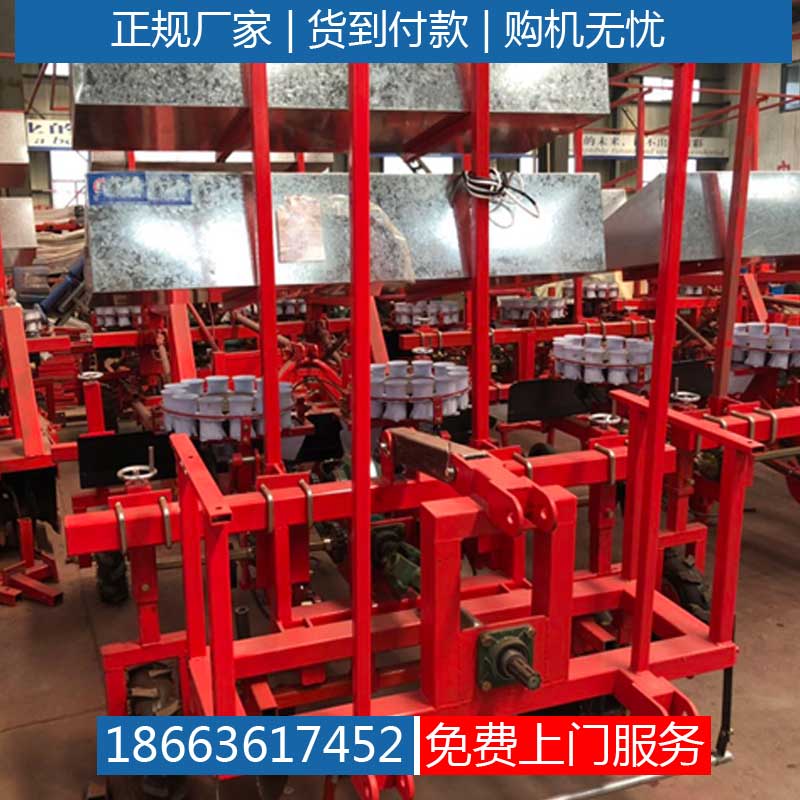 栽苗机价格丹参插秧机
