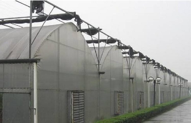 连栋薄膜温室 智能薄膜温室大棚建造 连栋薄膜温室厂家
