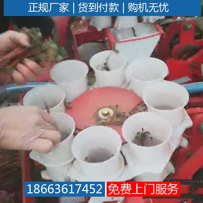 栽苗机价格苍术插苗机