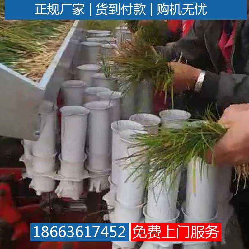 栽植机茄子插秧机