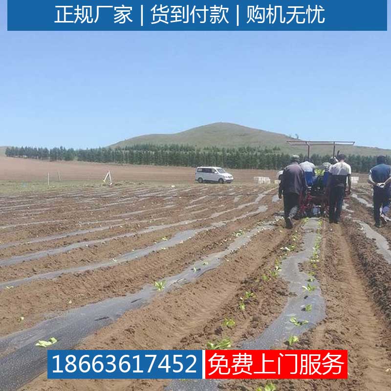 插苗机西蓝花移栽机