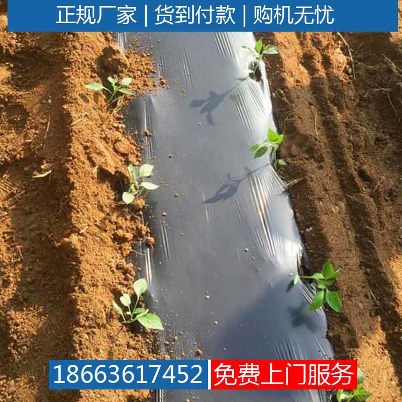 插苗机甘蓝移栽机