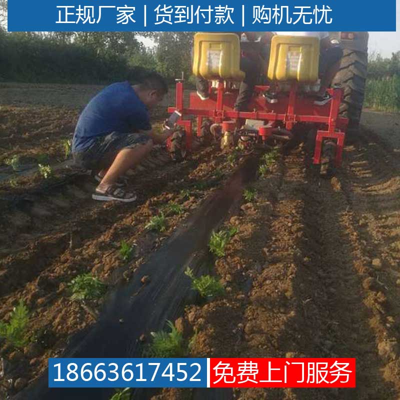 插苗机黄芪栽植机