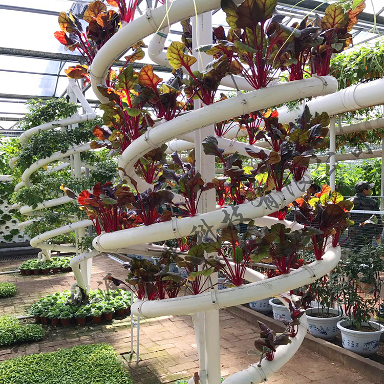 水耕设备 无土栽培蔬菜种植 厂家批发无土栽培设备 营养液种植蔬菜
