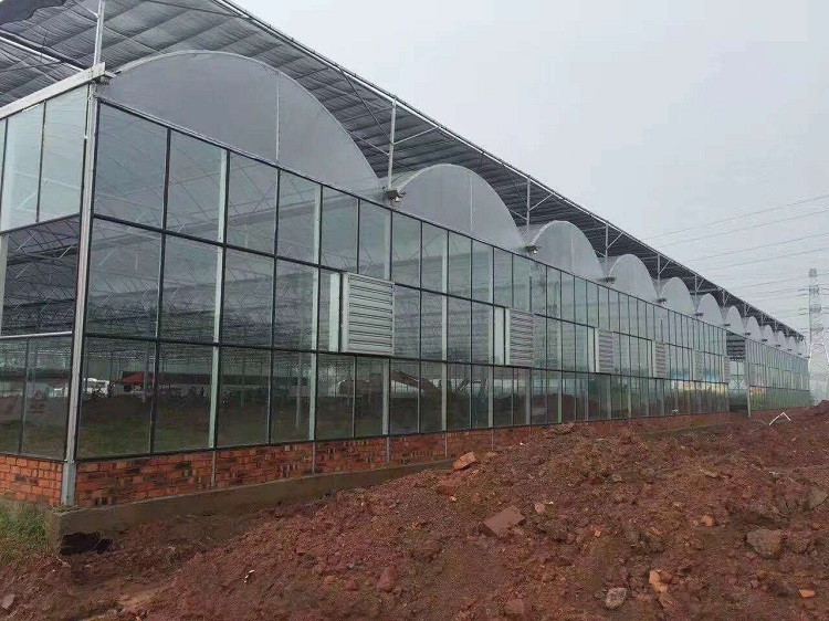 连栋薄膜温室温室大棚 搭建定制多规格蔬菜大棚温室 高温大棚